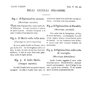 Ad00341 04 088a04.jpg