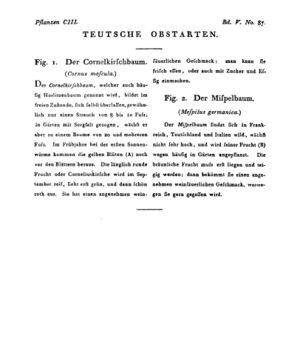 Ad00341 04 089a01.jpg
