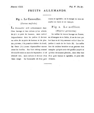 Ad00341 04 089a02.jpg