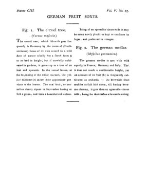 Ad00341 04 089a03.jpg