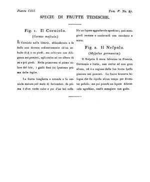 Ad00341 04 089a04.jpg
