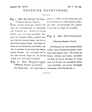 Ad00341 04 090a01.jpg