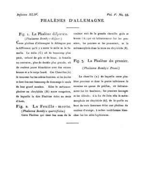 Ad00341 04 090a02.jpg