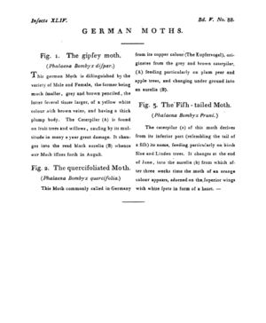 Ad00341 04 090a03.jpg