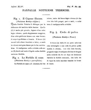 Ad00341 04 090a04.jpg