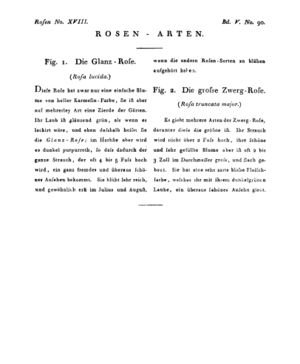 Ad00341 04 092a01.jpg