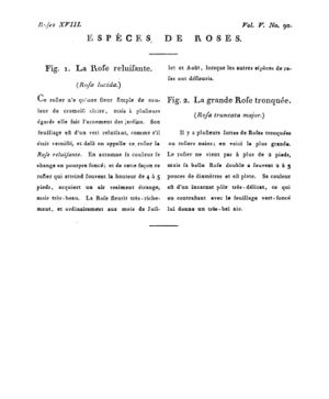 Ad00341 04 092a02.jpg