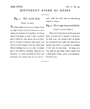 Ad00341 04 092a03.jpg