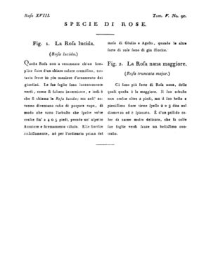 Ad00341 04 092a04.jpg