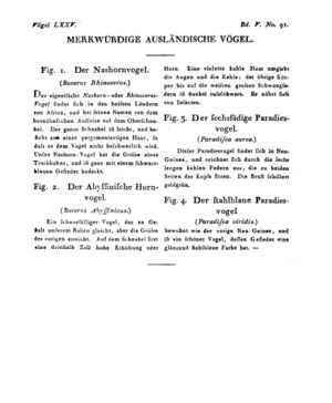 Ad00341 04 093a01.jpg
