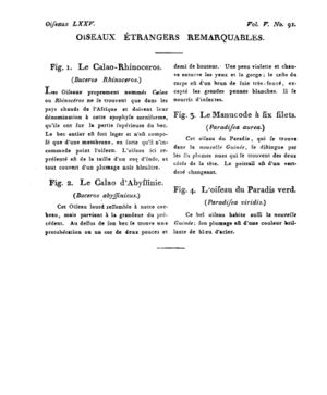 Ad00341 04 093a02.jpg