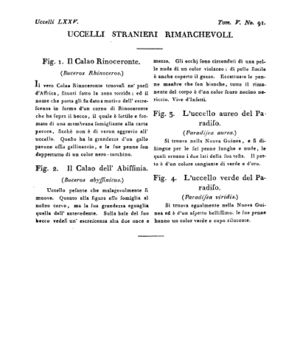 Ad00341 04 093a04.jpg