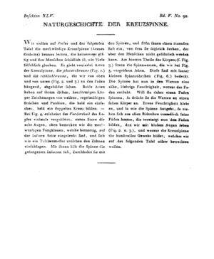 Ad00341 04 094a01.jpg