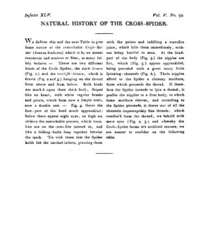 Ad00341 04 094a03.jpg