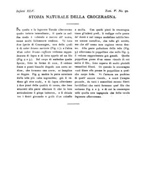 Ad00341 04 094a04.jpg