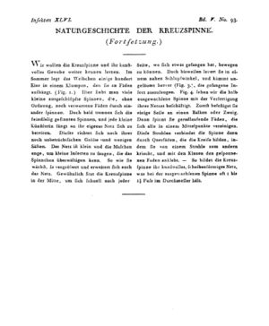 Ad00341 04 095a01.jpg