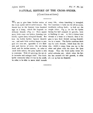 Ad00341 04 095a03.jpg
