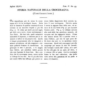 Ad00341 04 095a04.jpg