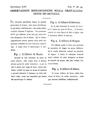 Ad00341 04 096a04.jpg