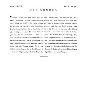 Ad00341 04 098a01.jpg