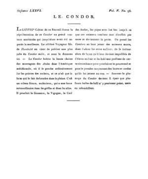 Ad00341 04 098a02.jpg