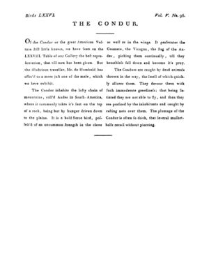 Ad00341 04 098a03.jpg