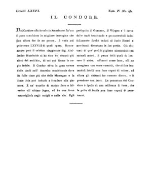 Ad00341 04 098a04.jpg