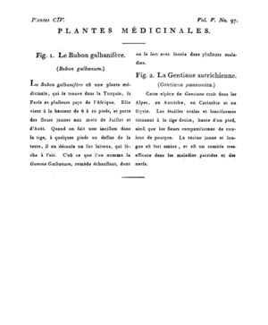Ad00341 04 099a02.jpg