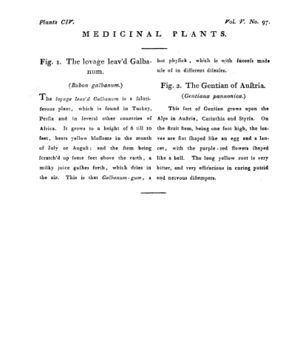 Ad00341 04 099a03.jpg