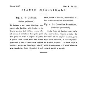 Ad00341 04 099a04.jpg
