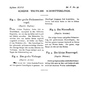 Ad00341 04 100a01.jpg