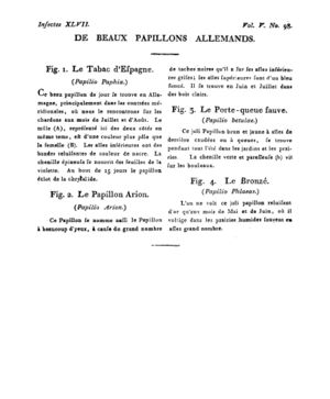 Ad00341 04 100a02.jpg