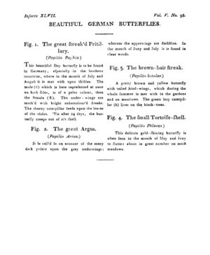 Ad00341 04 100a03.jpg