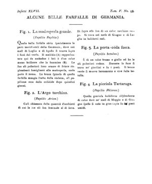 Ad00341 04 100a04.jpg