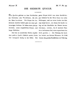 Ad00341 04 101a01.jpg