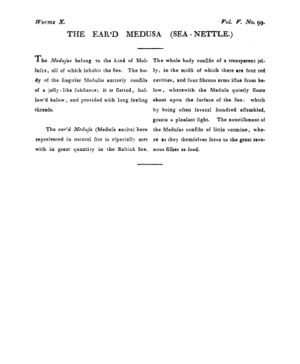 Ad00341 04 101a03.jpg