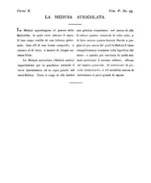 Ad00341 04 101a04.jpg