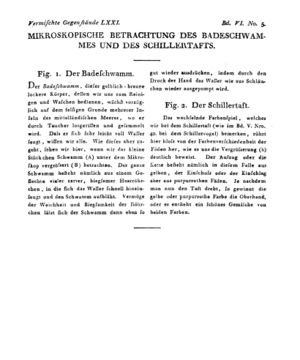 Ad00341 05 007a01.jpg