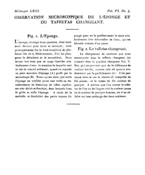 Ad00341 05 007a02.jpg