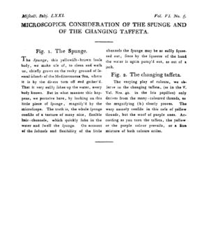 Ad00341 05 007a03.jpg
