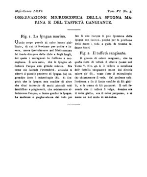 Ad00341 05 007a04.jpg