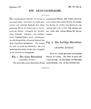 Ad00341 05 008a01.jpg