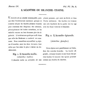 Ad00341 05 008a02.jpg