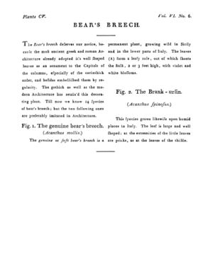 Ad00341 05 008a03.jpg