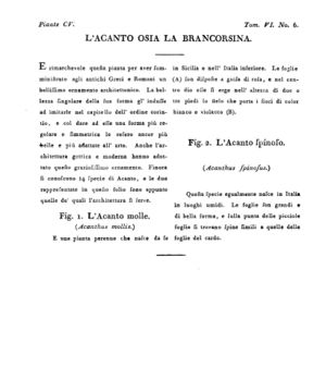 Ad00341 05 008a04.jpg