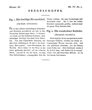 Ad00341 05 009a01.jpg