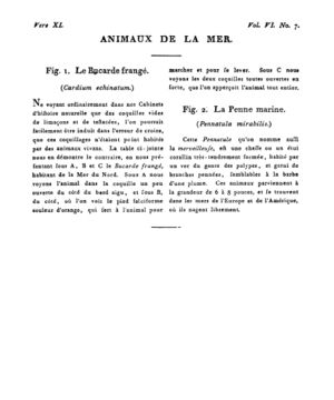 Ad00341 05 009a02.jpg