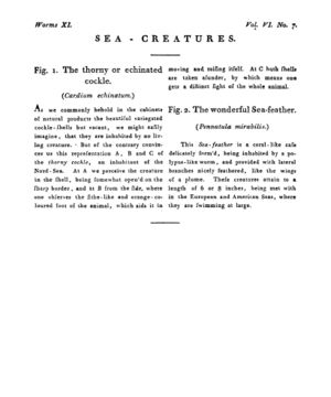 Ad00341 05 009a03.jpg
