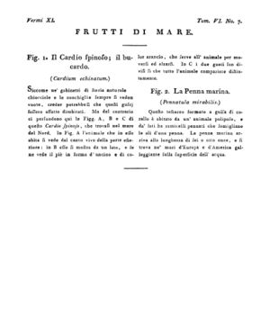 Ad00341 05 009a04.jpg