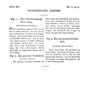 Ad00341 05 010a01.jpg